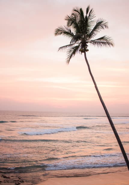 Welcome to Dreamsea - Sri Lanka Welcome to Dreamsea Surf Camps